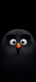 355953-720x1600.webp