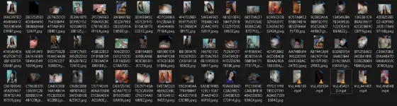 1764326771682.webp