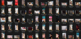 1764402845101.webp