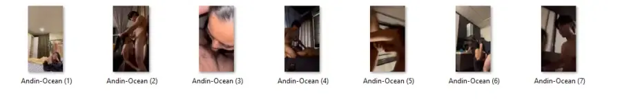 andin.webp