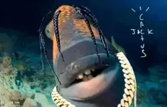1765047302725.webp