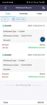 Screenshot_20251208-224539.webp