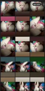 5q.webp