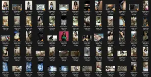 Untitled.webp