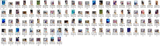 thumbs.webp