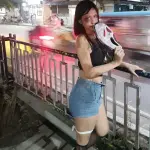 1766323356420.webp