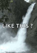 beauty-aww.gif