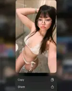 1766105947937.webp