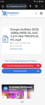 Screenshot_20251222-173647.webp