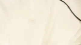 2 (3).webp