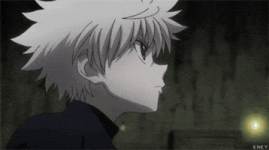 hunter x hunter GIF hunter x hunter GIF