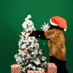 Merry Christmas GIF by Sincere Hope