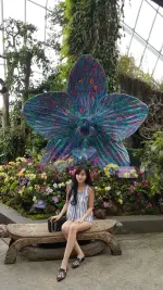ca64.webp