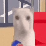 1767033717421.gif