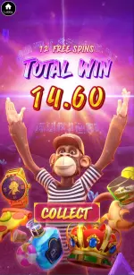 1000205263.webp