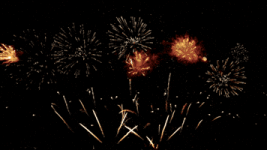 Happy New Year GIF by Vinnie Camilleri Happy New Year GIF by Vinnie Camilleri