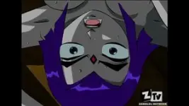 raven-sladed.jpg.webp