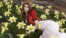 aerith.webp