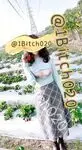 160113.webp