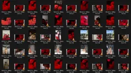 Untitled.webp