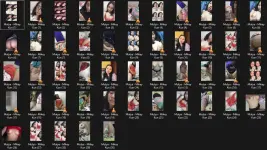 Untitled.webp