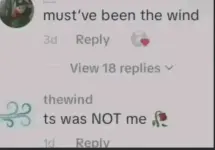 mustve-been-the-wind-v0-pqgl98g829uf1.webp mustve-been-the-wind-v0-pqgl98g829uf1.webp