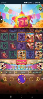 Screenshot_20260219-023557.webp