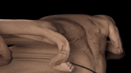 Skin Group GIF by tokyomegaplex