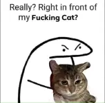 1746022194664.webp