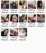 Zinnia ~ OFW sa Hong Kong.webp