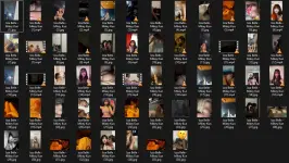 Untitled.webp