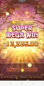 1000039295.webp 1000039295.webp