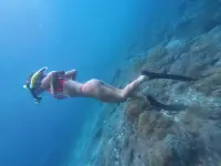 DJI_20260218145437_0244_D.webp