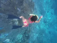 DJI_20260218144947_0237_D.webp