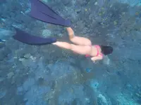 DJI_20260218144945_0236_D.webp