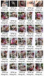 Luffy ~ OFW sa Hong Kong.webp