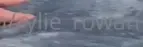1773155100040.webp 1773155100040.webp