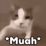 Kisses Love GIF