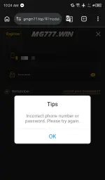 Screenshot_20260313-102418.webp