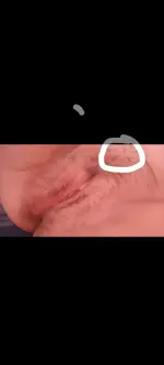 Screenshot_20260307-031358.webp
