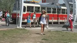 1773581903338.webp 1773581903338.webp