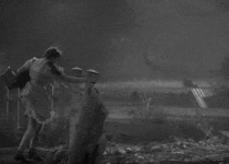 Wizard Of Oz Kick GIF Wizard Of Oz Kick GIF