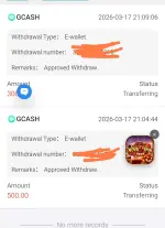 Screenshot_2026-03-17-21-12-39-603_com.android.chrome-edit.webp