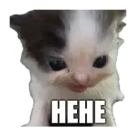 1773808874519.webp 1773808874519.webp