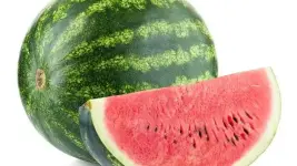 1000027841.webp