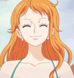 one piece nami GIF