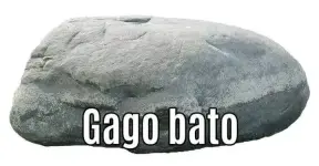 1000011469.webp