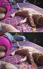 1774443613971.webp