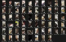 1774521779892.webp