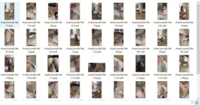 Capture.webp